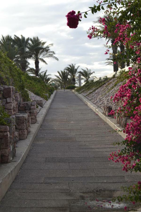Apartamento Cabo De Gata レタマル エクステリア 写真